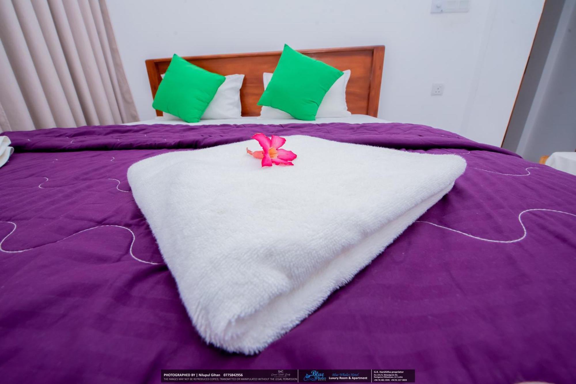 Blue Whales Hotel Хіккадува Екстер'єр фото