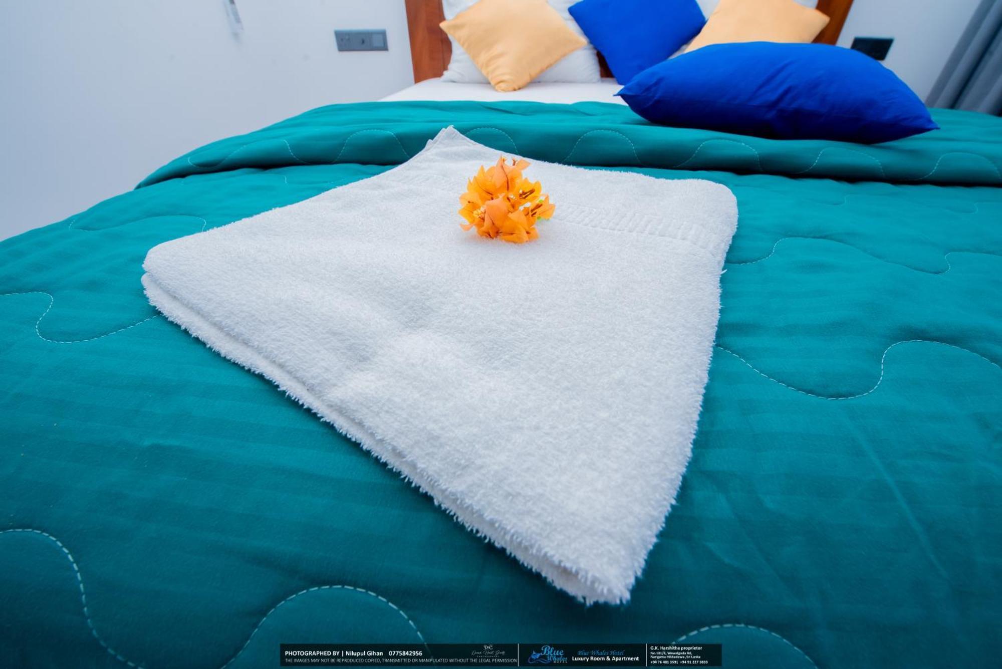 Blue Whales Hotel Хіккадува Екстер'єр фото